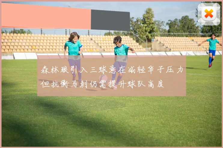 森林狼引入三球意在减轻华子压力但抗衡马刺仍需提升球队高度
