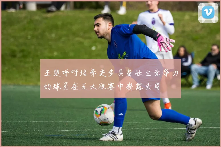 王楚呼吁培养更多具备独立竞争力的球员在五大联赛中崭露头角