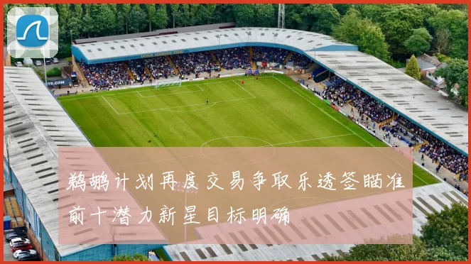 鹈鹕计划再度交易争取乐透签瞄准前十潜力新星目标明确